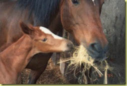 n1400602353_30088257_8755